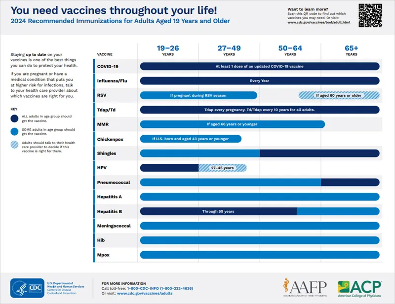 2024 CDC Adult Immunization Schedule by Age Group