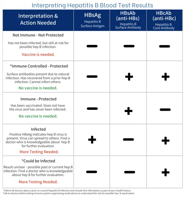 Hepatitis B Blood Test Results Interpretation