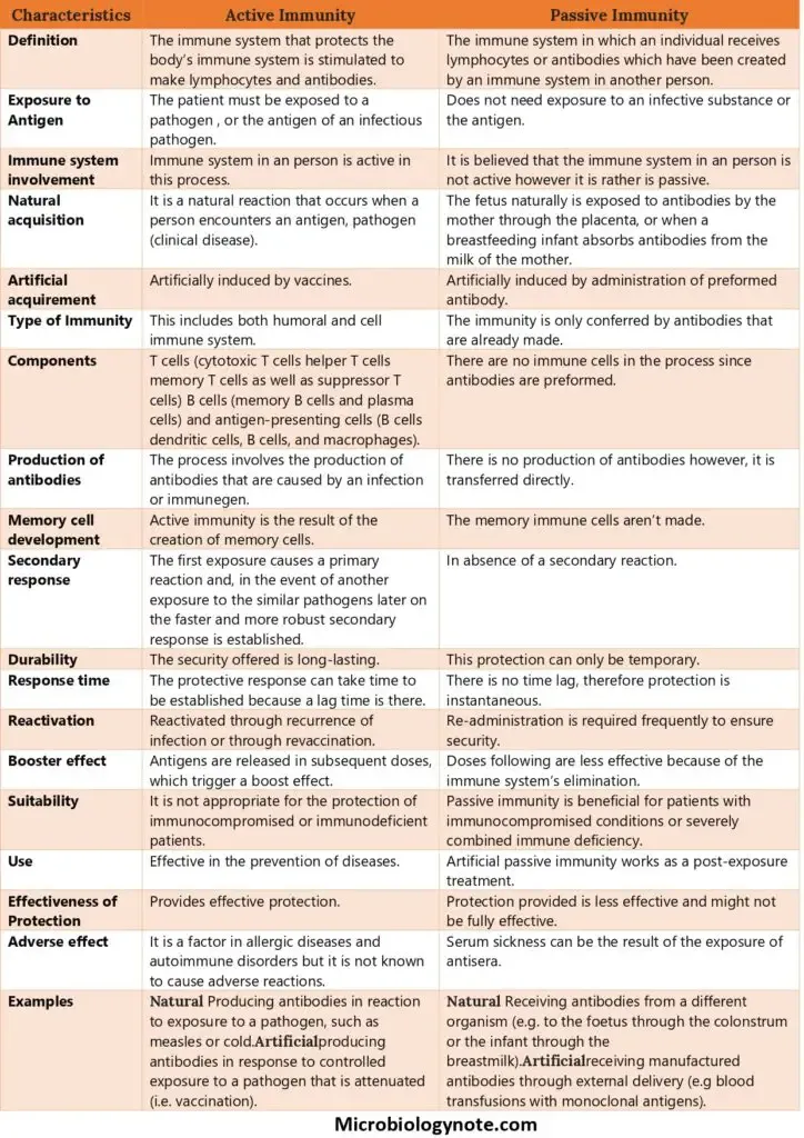 Active vs Passive Immunity Characteristics