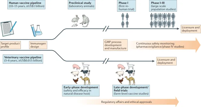 Vaccine Development Pipelines