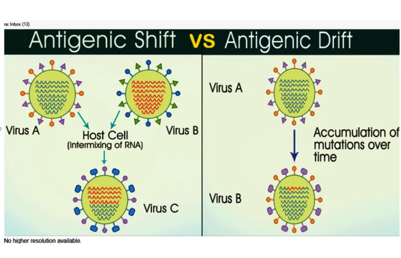 Antigenic Shift vs. Antigenic Drift in Viruses