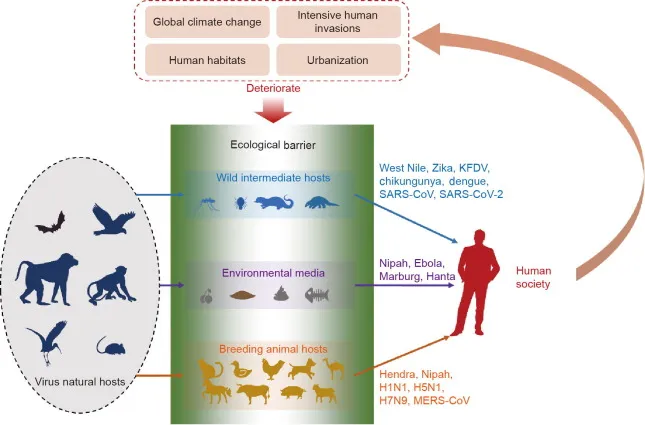 Factors influencing zoonotic disease emergence