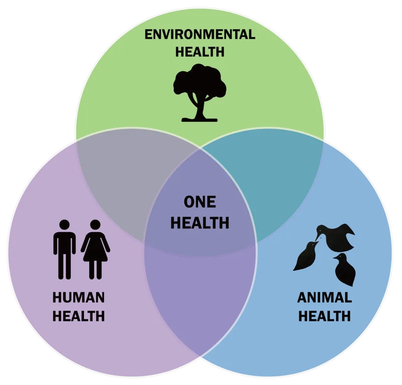 One Health Triad for Disease Prevention