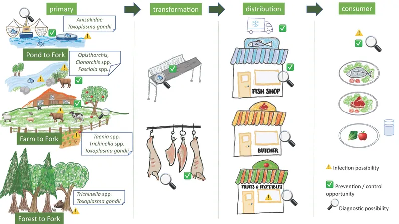 Foodborne zoonotic parasite transmission