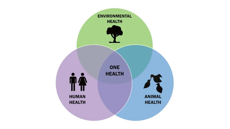 One Health Triad: Human, Animal, and Environmental Health