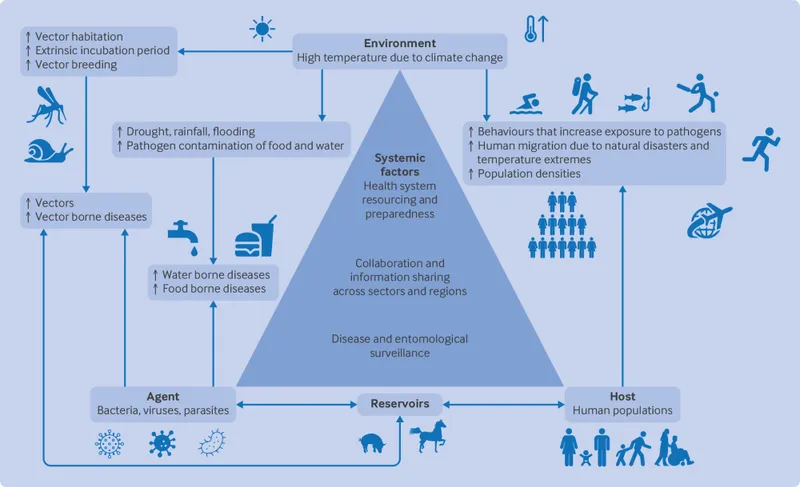 Zoonotic Transmission Triangle