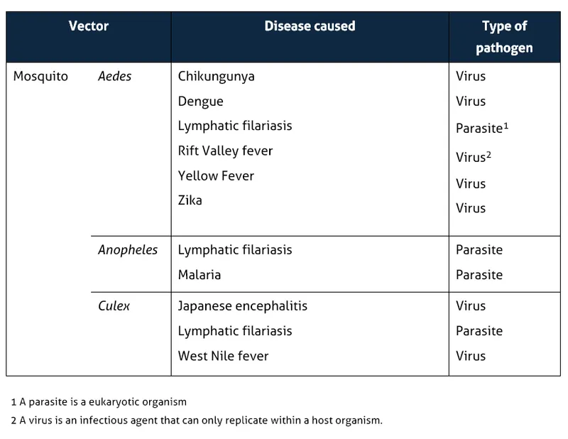 Mosquito Vectors and Associated Diseases