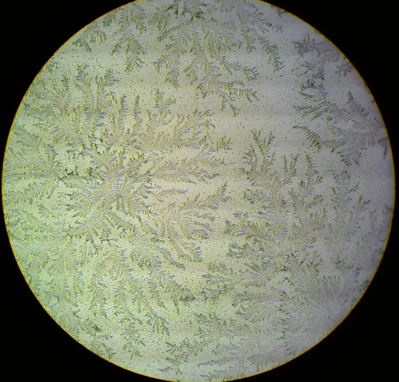 Positive Fern Test for PROM