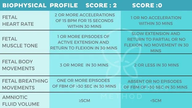Biophysical Profile Scoring Criteria