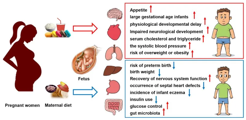Maternal Diet Impact on Fetal Development and Child Health