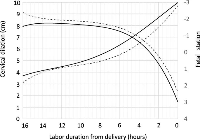 Labor curves: Cervical dilation and fetal station