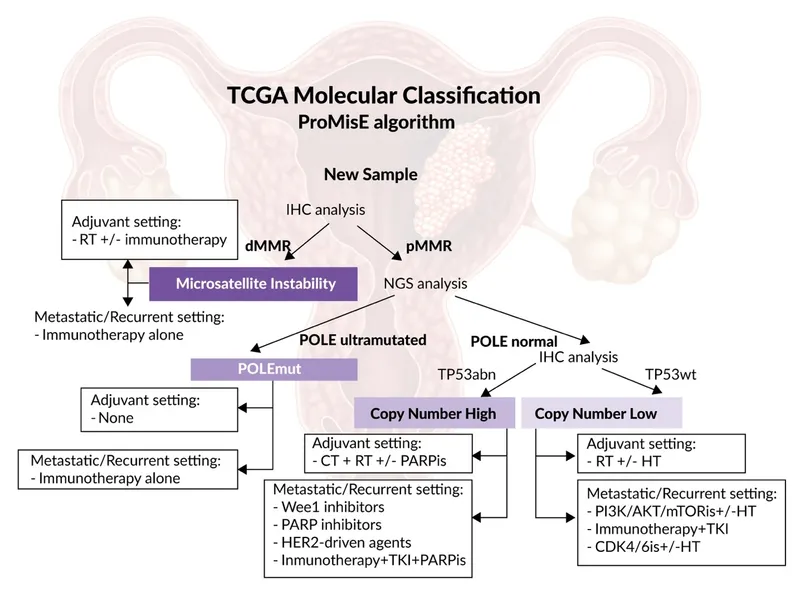 Endometrial Cancer Molecular Classification