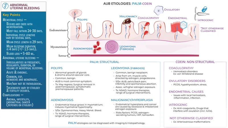 PALM-COEIN classification of AUB