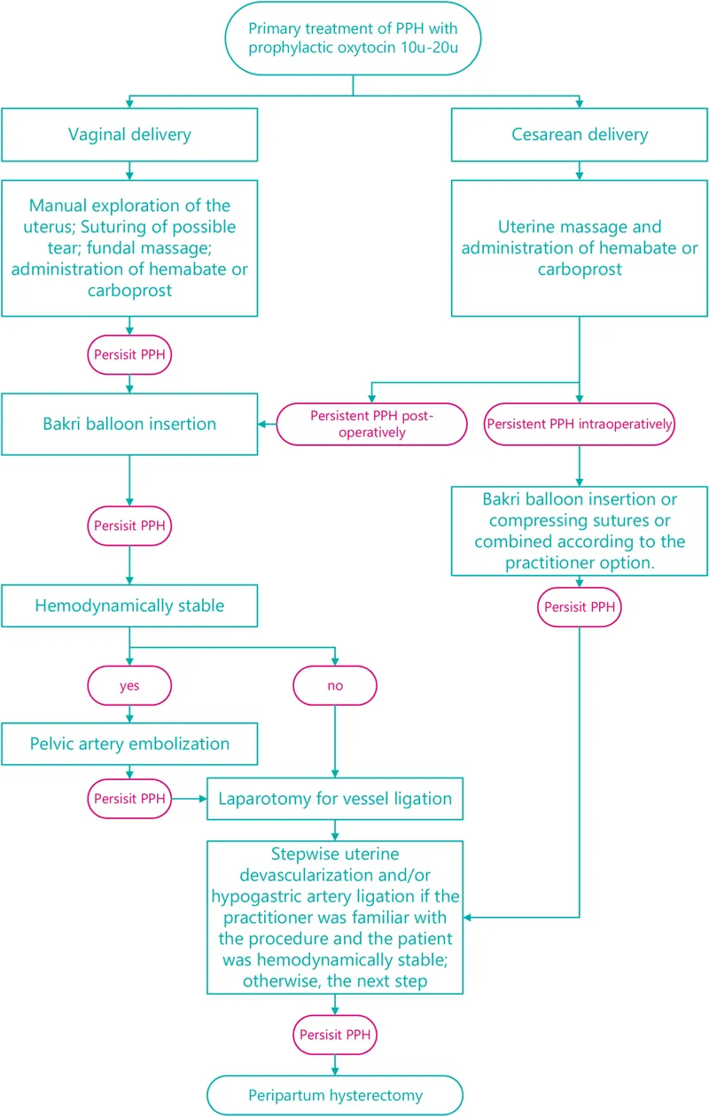 PPH Management Algorithm