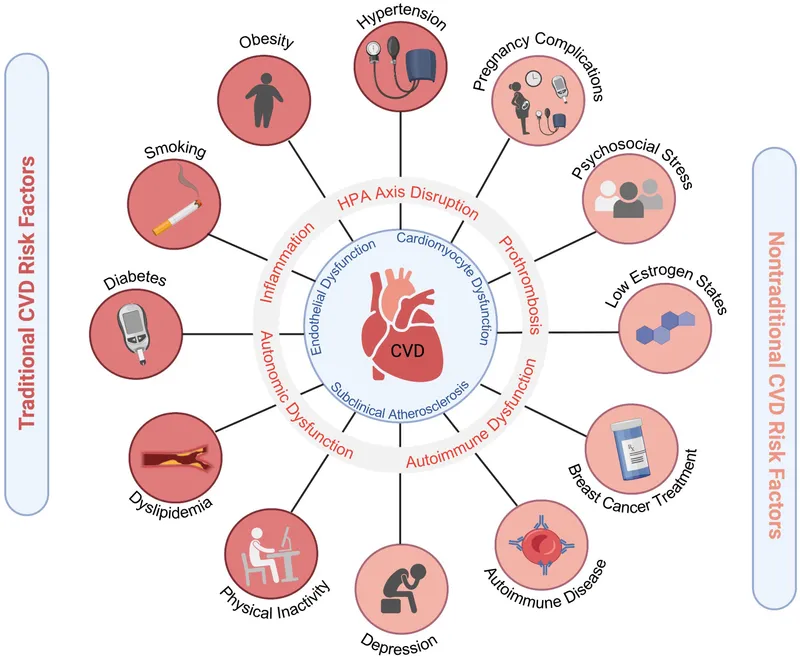 CVD Risk Factors in Women