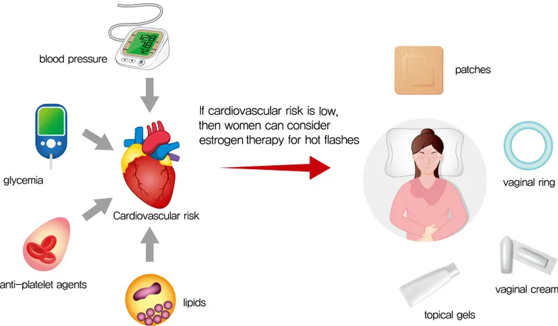 HRT and Cardiovascular Risk in Menopause
