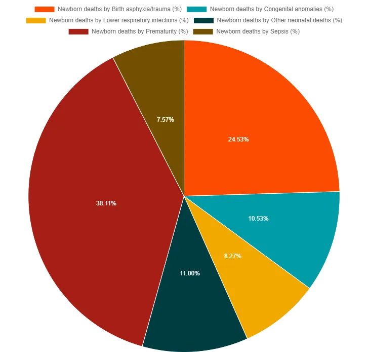 Causes of Newborn Deaths (%)