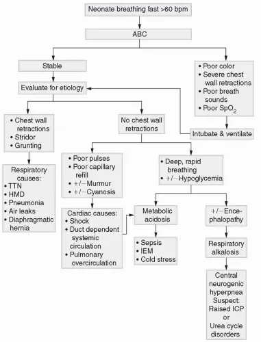 Neonatal Respiratory Distress Etiology Algorithm