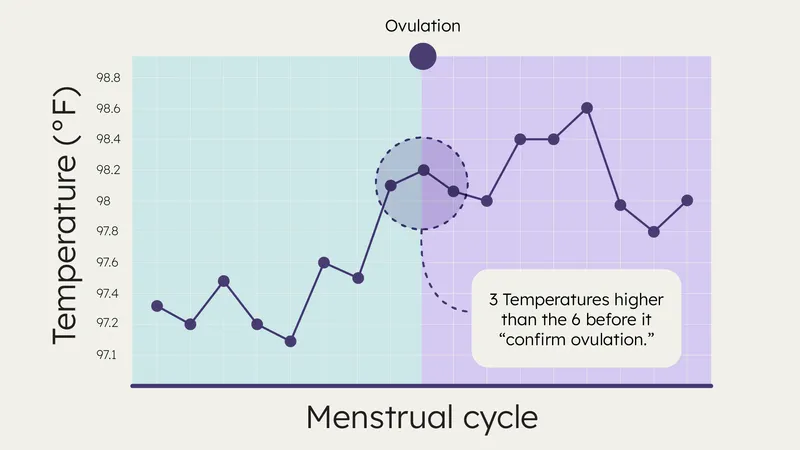 Basal Body Temperature (BBT) Chart for Ovulation Tracking