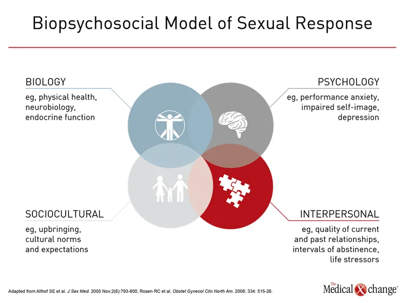 Biopsychosocial Model of Sexual Response