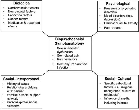Biopsychosocial Model of Sexual Dysfunction Etiology