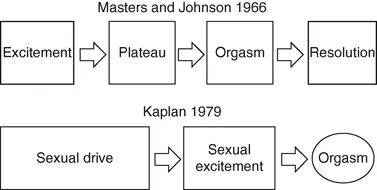 Female sexual response cycle models comparison