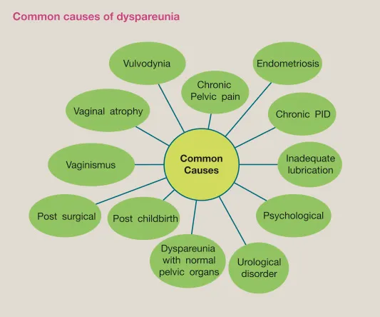 Common causes of dyspareunia