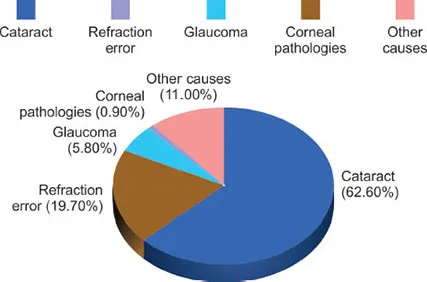 Causes of blindness in India