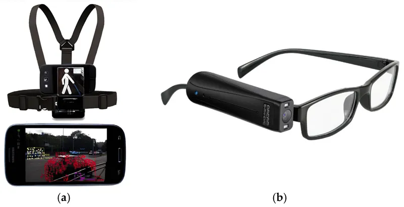 Wearable and smart glasses low vision aids