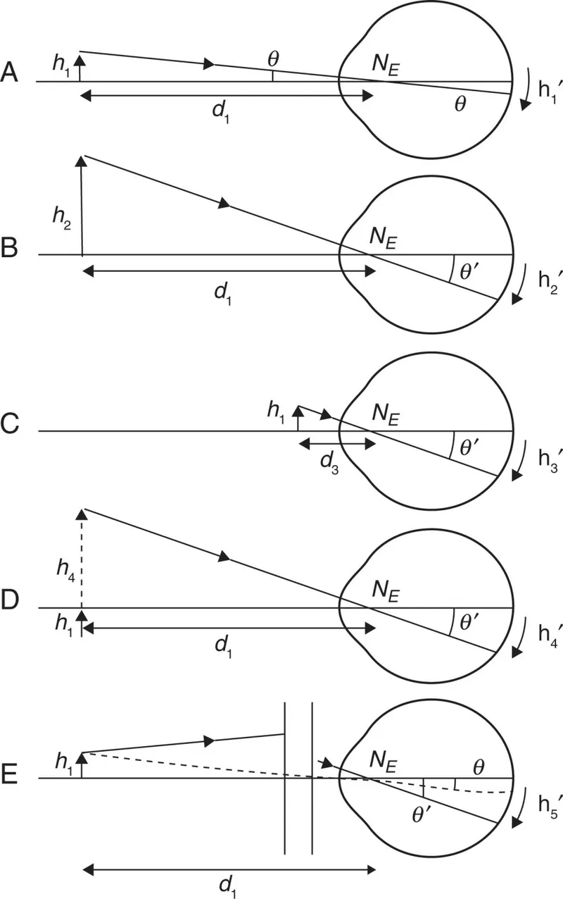 Relative size, distance, and angular magnification