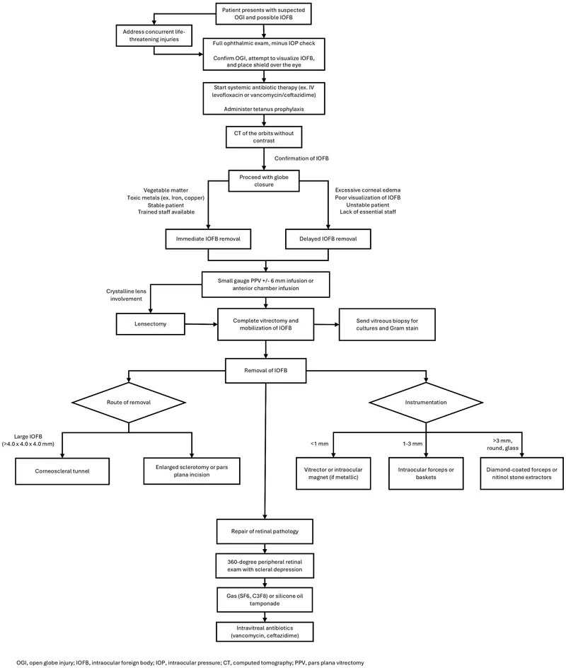 IOFB Management Algorithm