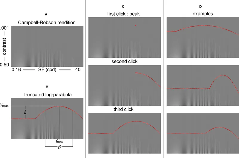 Campbell-Robson contrast sensitivity function