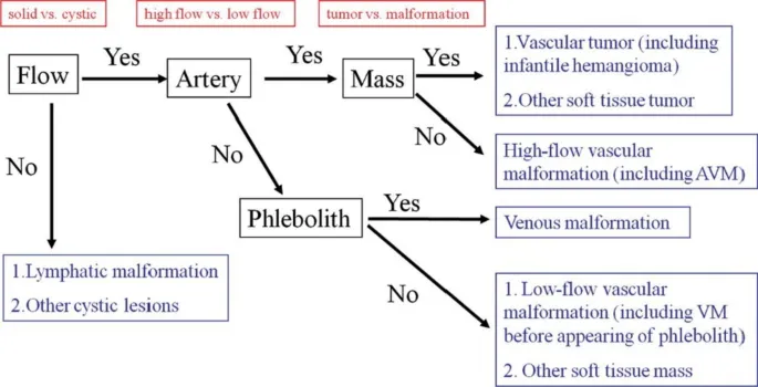 Orbital Vascular Lesion Classification