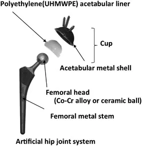Artificial hip joint components