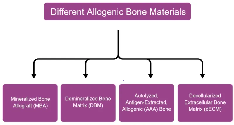 Types of Allogenic Bone Materials