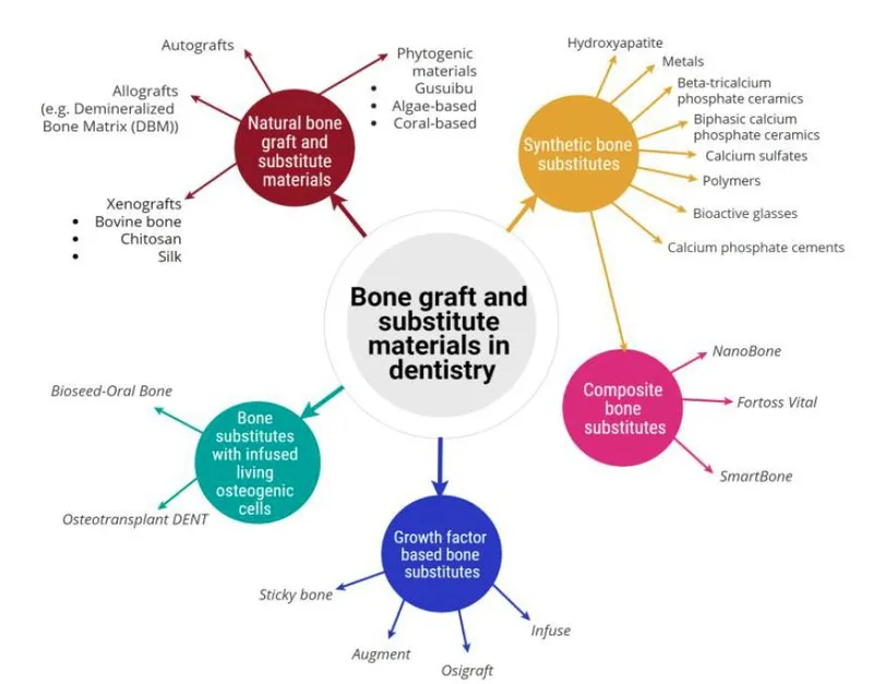 Classification of Bone Graft and Substitute Materials
