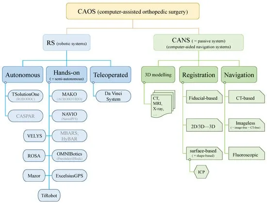 Orthopedic Computer-Assisted Surgery Systems