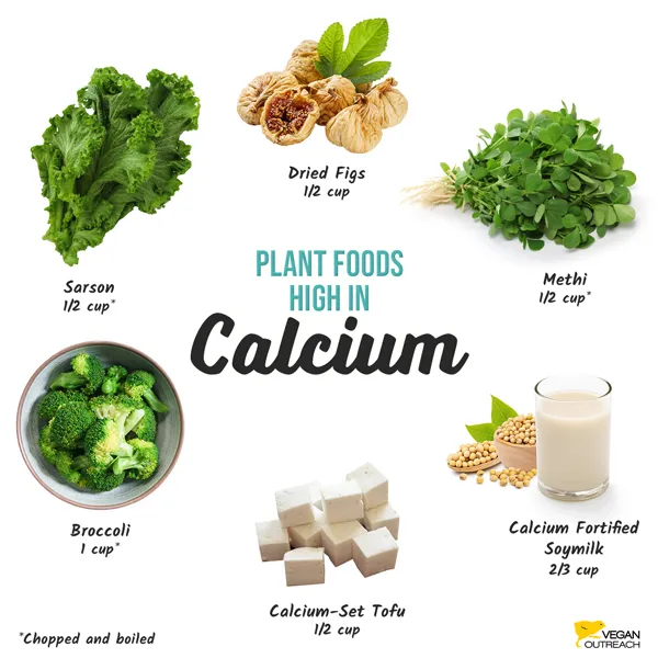 Plant-based calcium sources for bone health