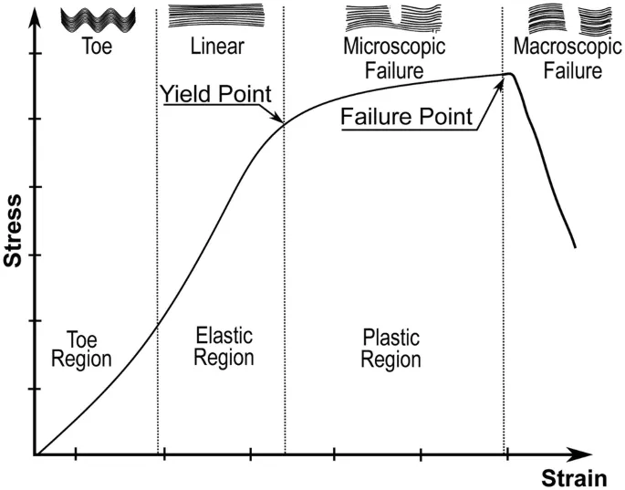 Stress-Strain Curve for Bone