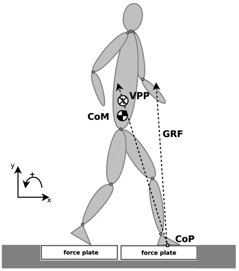 GRF, CoP, CoM, and VPP during gait
