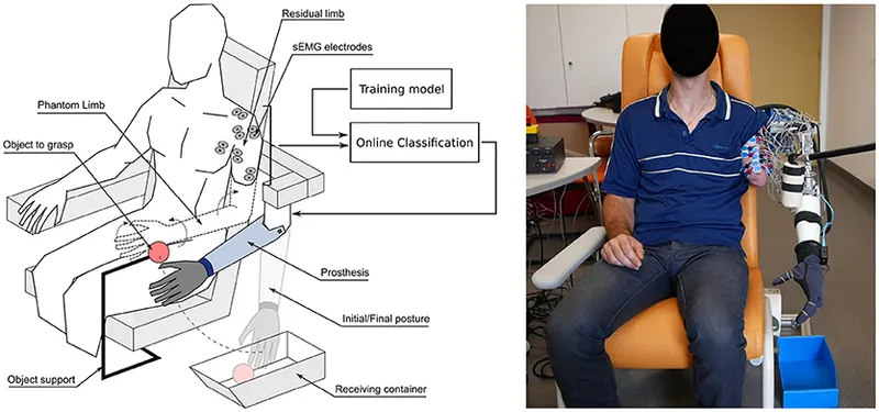 Upper limb prosthetic grasp training setup