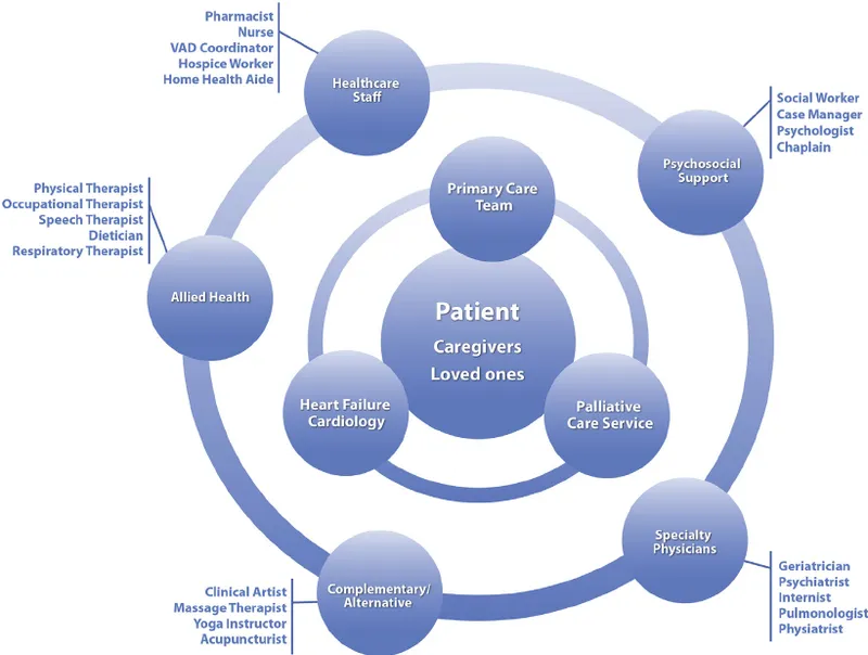 Multidisciplinary Geriatric Care Team Diagram