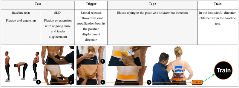 Spine rehab: Test, Trigger, Tape, Train method