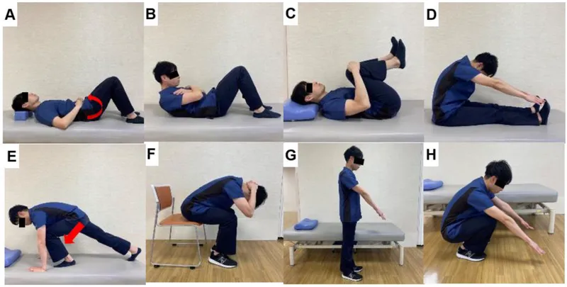 McKenzie and Williams exercises for low back pain
