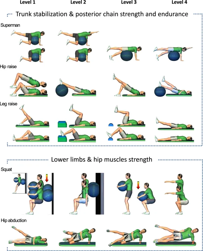 Spine rehabilitation exercise progression levels