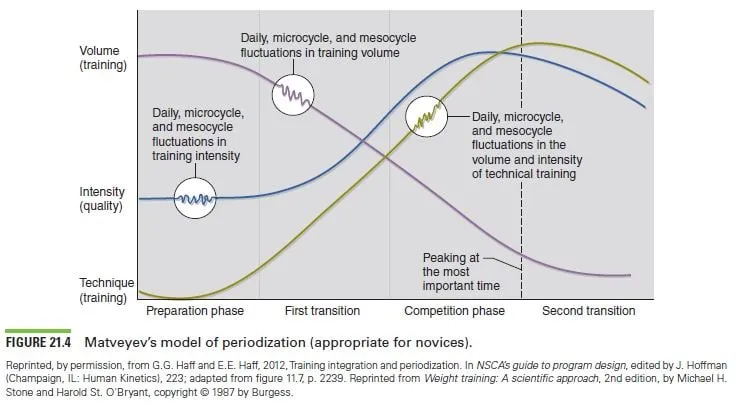 Matveyev's model of periodization