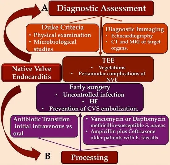 Endocarditis Diagnostic and Treatment Pathway
