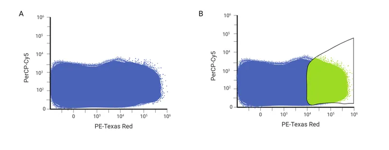 Flow cytometry dot plot with gated cell population