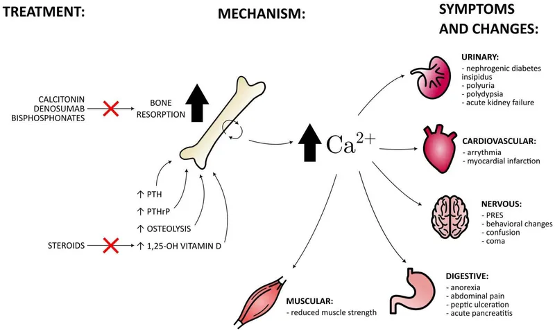 Hypercalcemia of Malignancy: Mechanisms, Symptoms, Treatment
