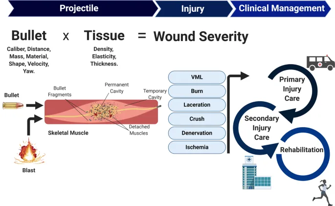 Gunshot wound ballistics and clinical management